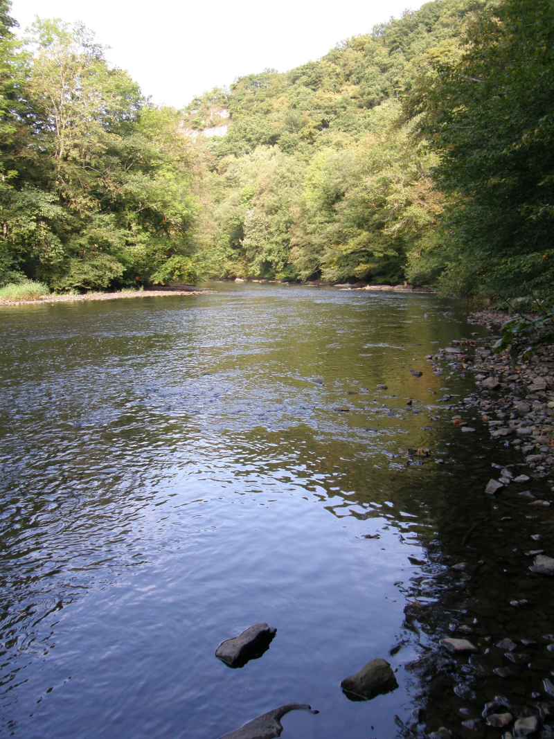 photo 12 promenade  Ourthe Nadrin Houffalize